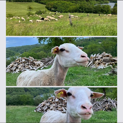 Gaec de la Ferme de Vabres à Lacapelle-Viescamp