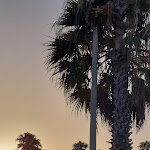 Photo n°10 de l'avis de Maria.a fait le 23/07/2023 à 14:01 sur le  Hotel Baglio Basile à Petrosino