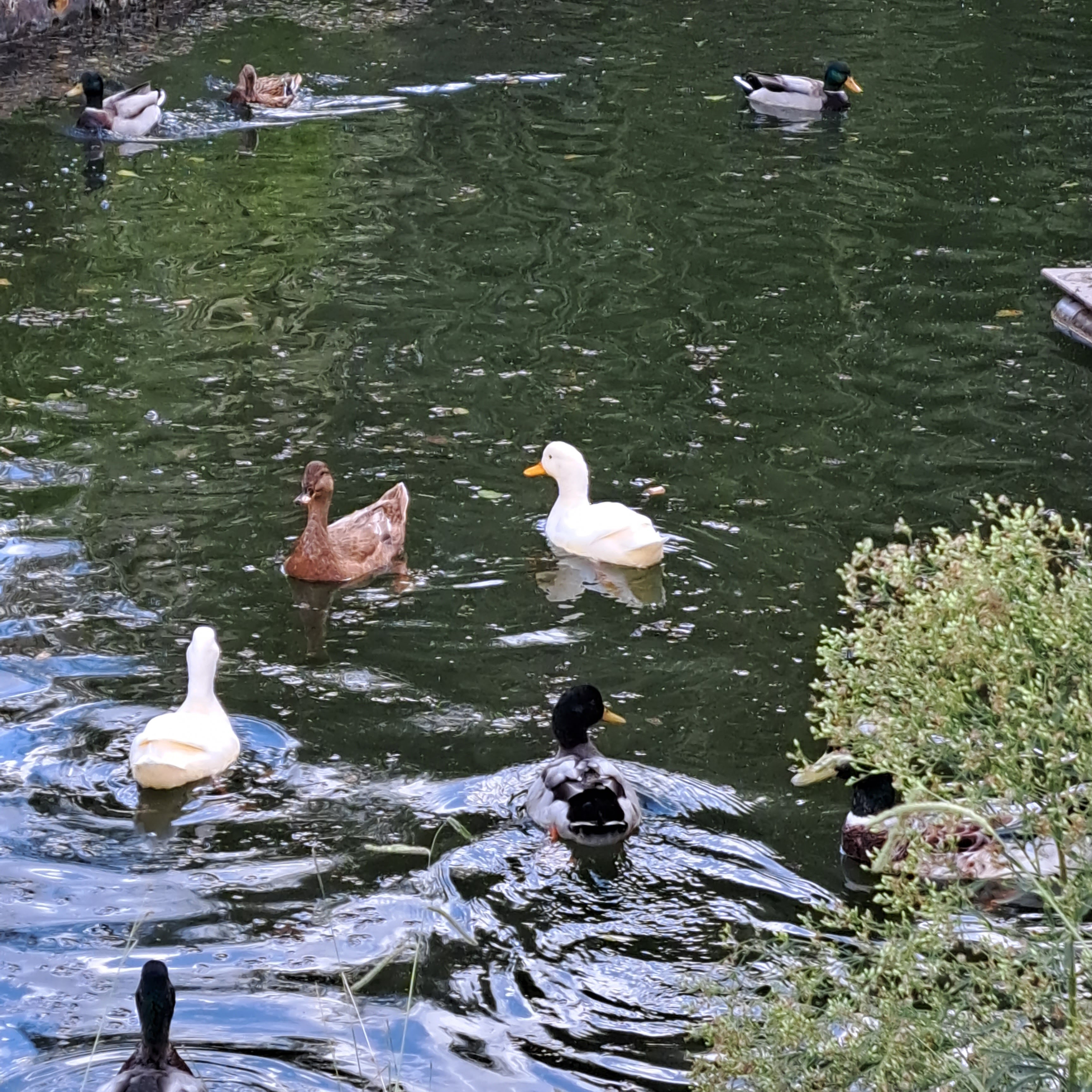 Photo n° 6 de l'avis de Tanya.L fait le 26/09/2022 à 16:08