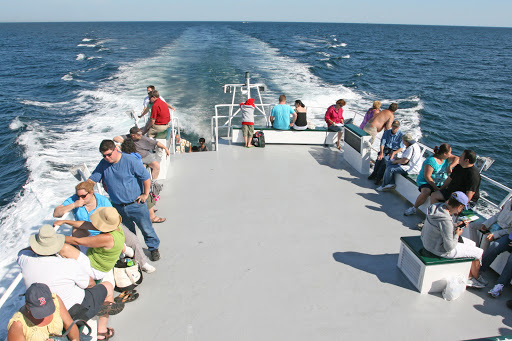 Whale Watching Tour Agency «7 Seas Whale Watch», reviews and photos, 63 Rogers St, Gloucester, MA 01930, USA