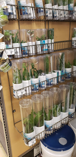 Pet Supply Store «Petco Animal Supplies», reviews and photos, 7434 Little River Turnpike, Annandale, VA 22003, USA