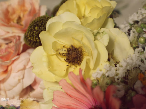 Florist «Flowers By Mendez & Jackel», reviews and photos, 711 N 27th St, Camden, NJ 08105, USA