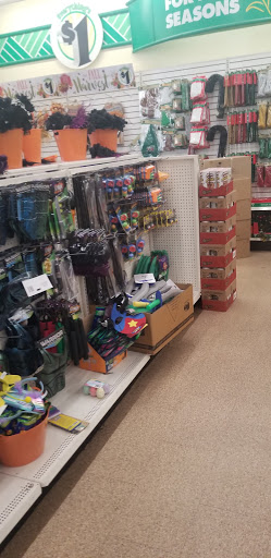 Dollar Store «Dollar Tree», reviews and photos, 912 River St Ste 100, Hyde Park, MA 02136, USA