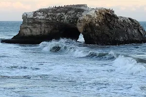 Natural Bridges Tidepools image