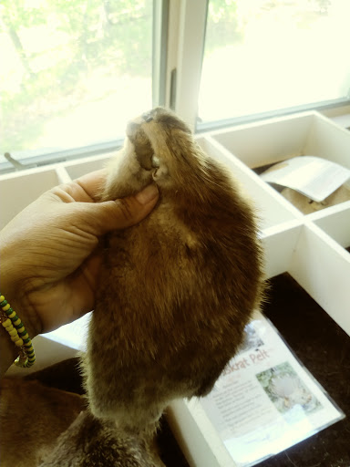 Nature Preserve «Benjamin Olewine III Nature Center», reviews and photos, 100 Wildwood Way, Harrisburg, PA 17110, USA