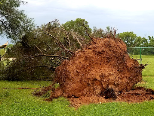 Park «Delcastle Recreational Park», reviews and photos, 2920 Duncan Rd, Wilmington, DE 19808, USA