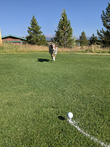 Public Golf Course «Mt. Massive Golf Course», reviews and photos, 259 Rd 5, Leadville, CO 80461, USA
