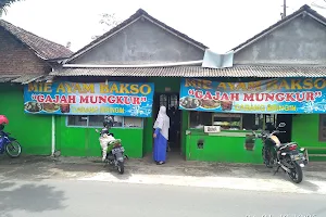 Gajah Mungkur image