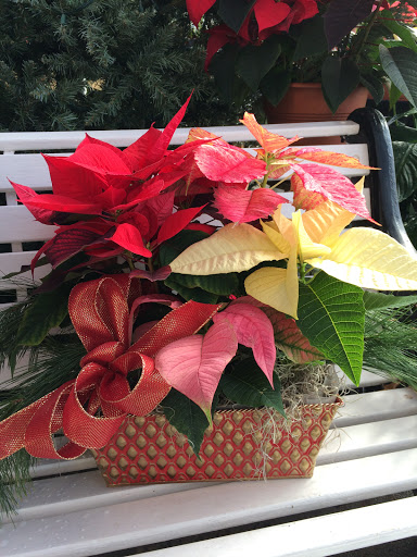 Florist «Parkview Gardens Florist & Greenhouse», reviews and photos, 1925 W Randolph St, St Charles, MO 63301, USA