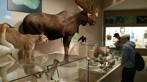 Natural History Museum «Denver Museum of Nature & Science», reviews and photos, 2001 Colorado Blvd, Denver, CO 80205, USA