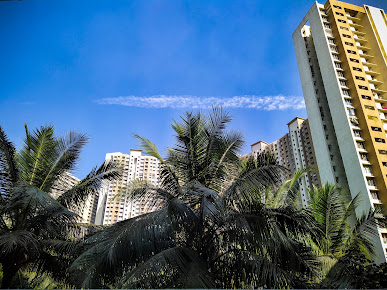 Google Maps image 16