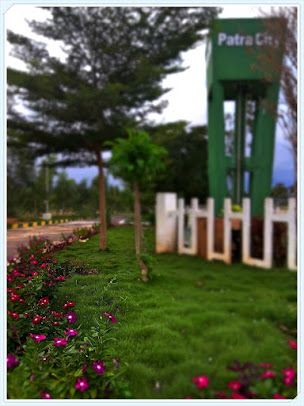 Google Maps image 26