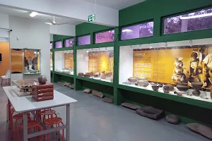 Museu Arqueológico de Sambaqui de Joinville image