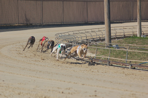 Car Racing Track «Melbourne Greyhound Park casino», reviews and photos, 1100 N Wickham Rd, Melbourne, FL 32935, USA