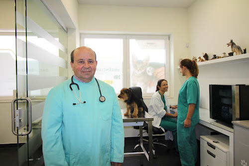 Centro Veterinário de Torres Vedras em Torres Vedras