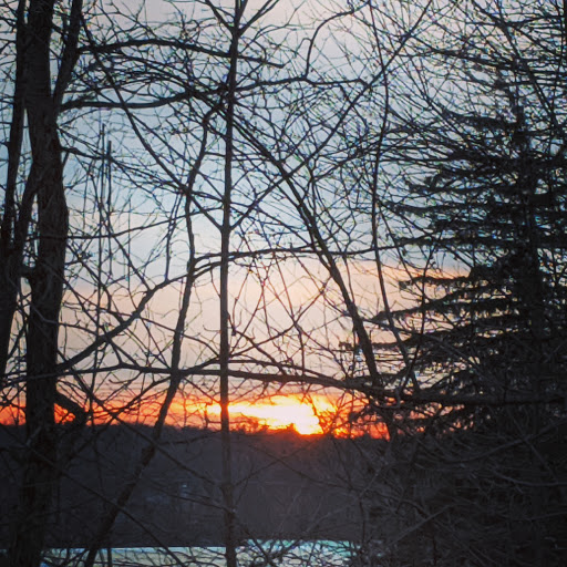 Grocery Store «Hannaford Supermarket», reviews and photos, 35 Hannaford Dr, Red Hook, NY 12571, USA