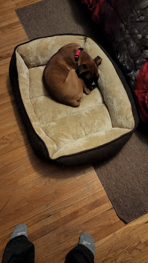 Pet Supply Store «Pet Supplies Plus», reviews and photos, 955 Co Rd E East #100, Vadnais Heights, MN 55127, USA