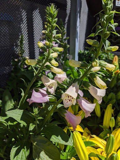 Home Improvement Store «The Home Depot», reviews and photos, 230 Oak Lee Dr, Ranson, WV 25438, USA