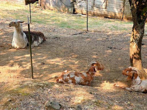 Winery «Belle Pente Vineyard & Winery», reviews and photos, 12470 NE Rowland Rd, Carlton, OR 97111, USA