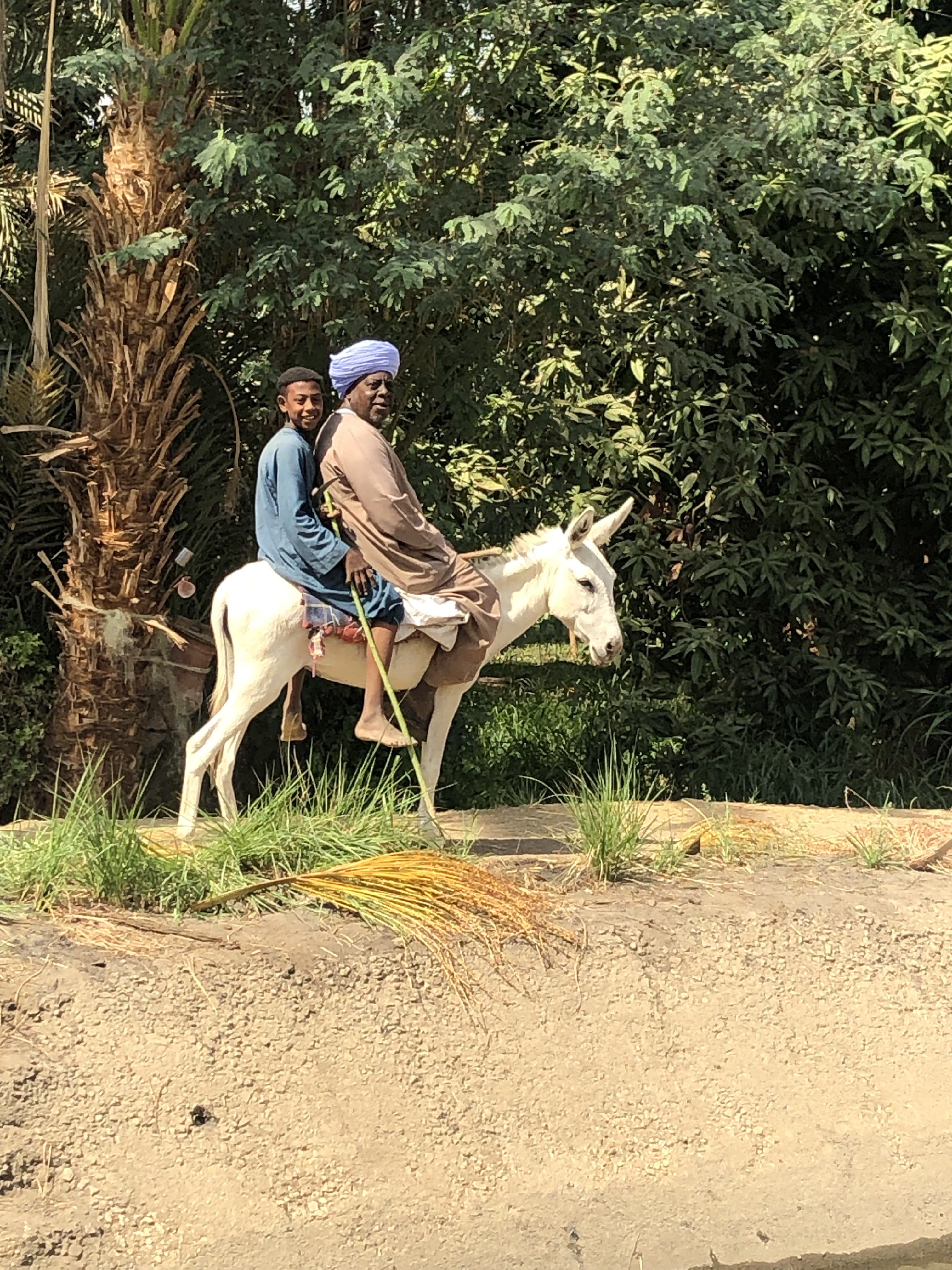 Photo n° 1 de l'avis de georges.a fait le 30/10/2023 à 11:16