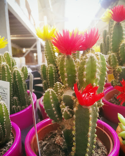 Home Improvement Store «The Home Depot», reviews and photos, 14000 Georgia Avenue, Aspen Hill, MD 20906, USA