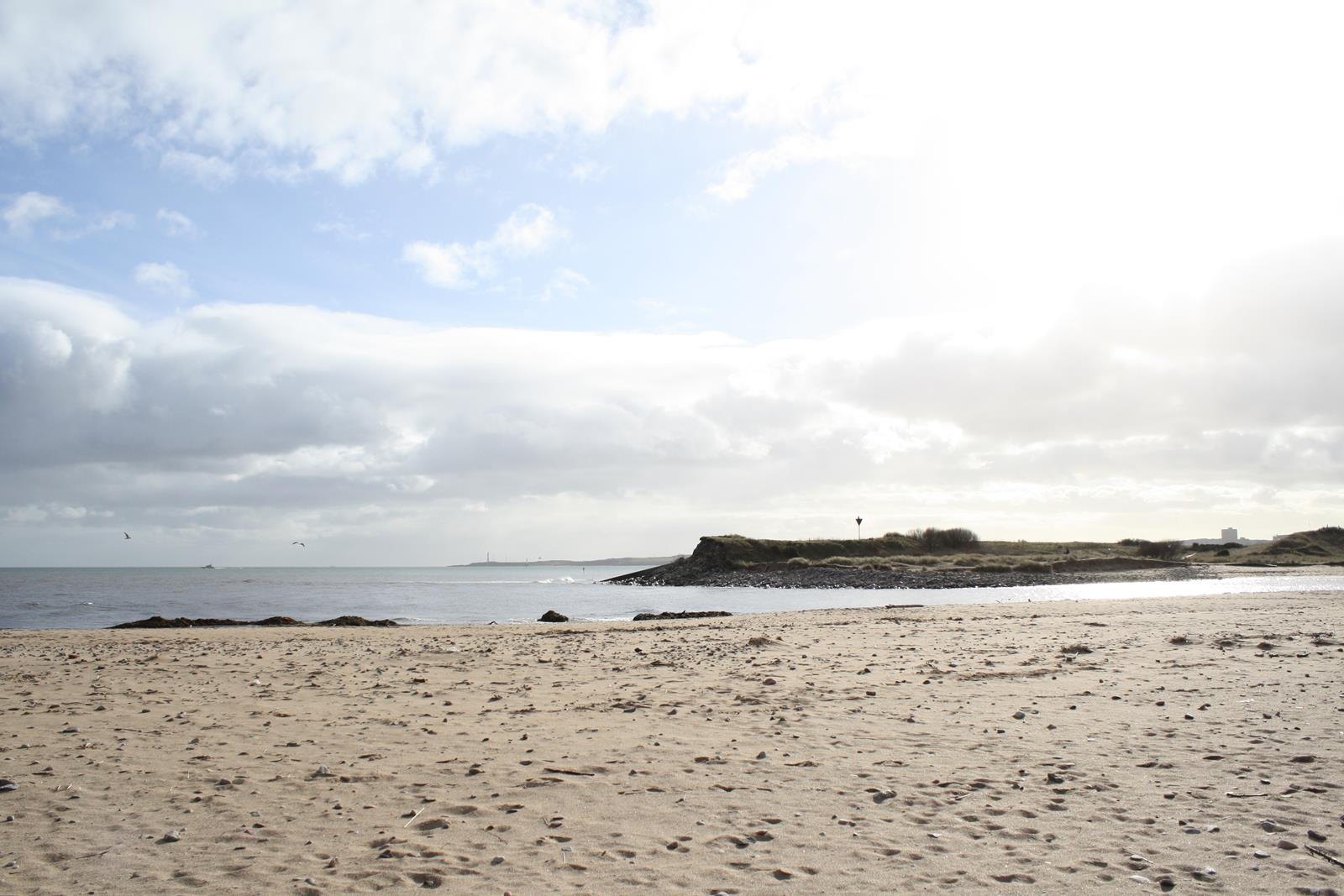 Foto de North Donmouth Beach - buen lugar amigable para mascotas para vacacionar