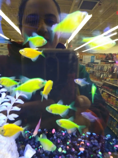 Pet Supply Store «Petco Animal Supplies», reviews and photos, 205 Washington St #11, Hudson, MA 01749, USA