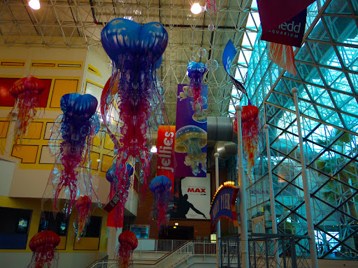 Imax Theater «AMC Navy Pier IMAX», reviews and photos, 700 E Grand Ave, Chicago, IL 60611, USA