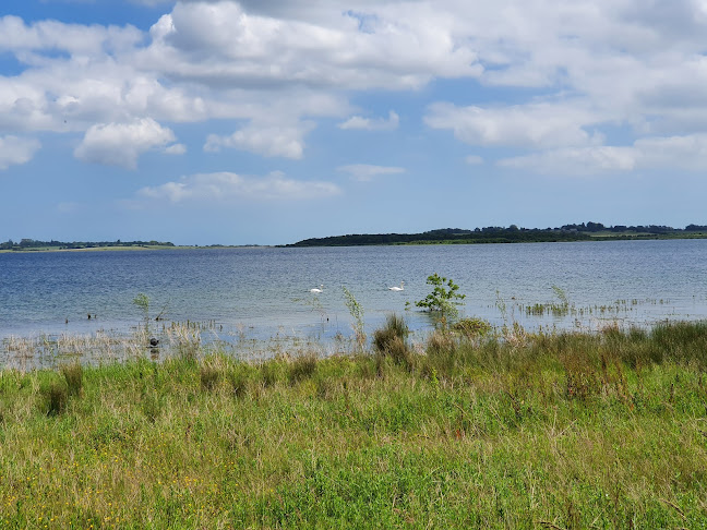 Reviews of Essex Wildlife Trust Abberton Reservoir Nature Discovery Park in Colchester - Other