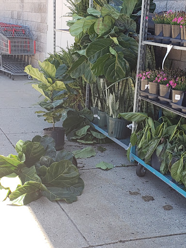 Warehouse club «BJ’s Wholesale Club», reviews and photos, 941 Rte 37 W, Toms River, NJ 08755, USA