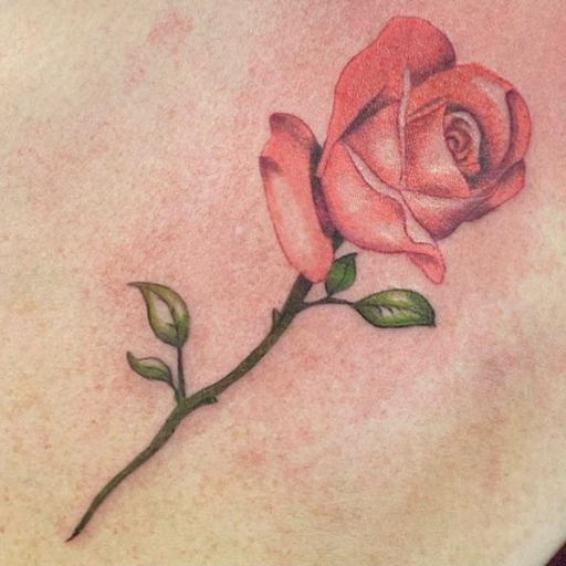 Tattoo Shop «Dark Horse Tattoos», reviews and photos, 395 Garrisonville Rd #103, Stafford, VA 22554, USA