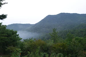 Cheonsaengsanseong Forest image