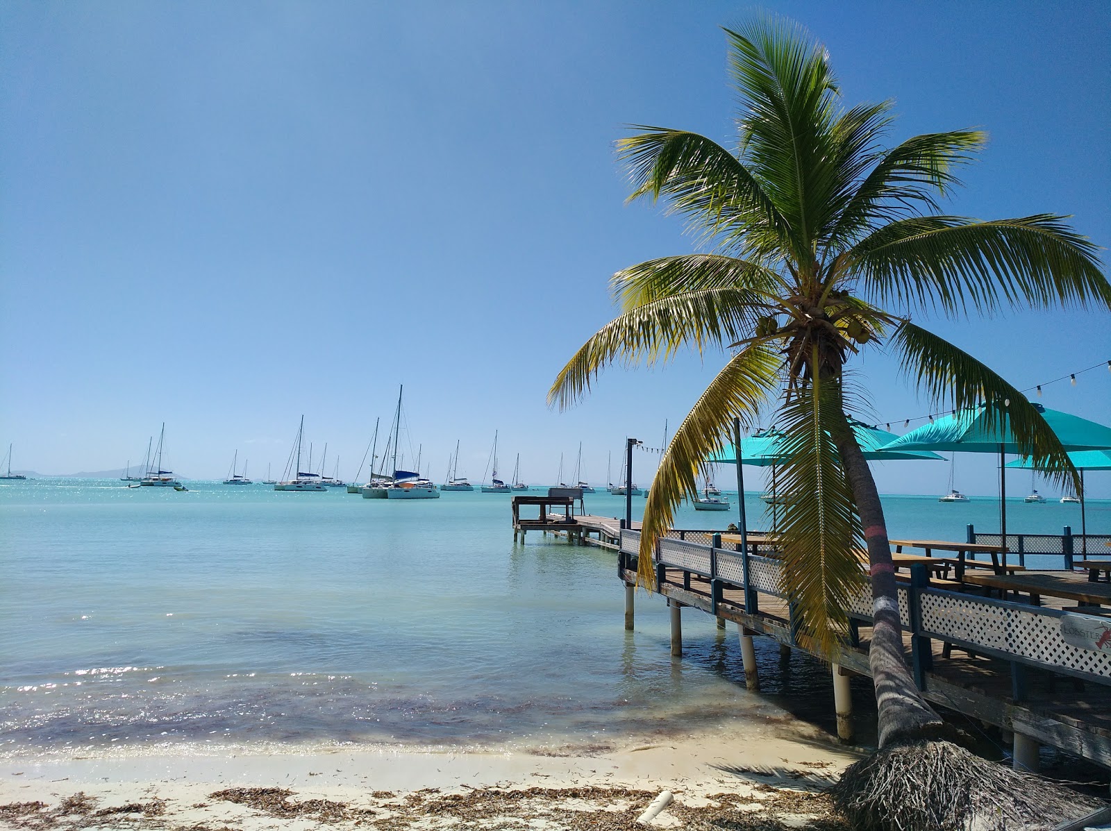 Foto di Neptunes Treasure e l'insediamento