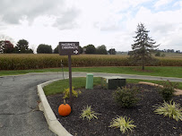 McCormick Chiropractic - Photo 6 - Car repair in Elverson, PA, Reading