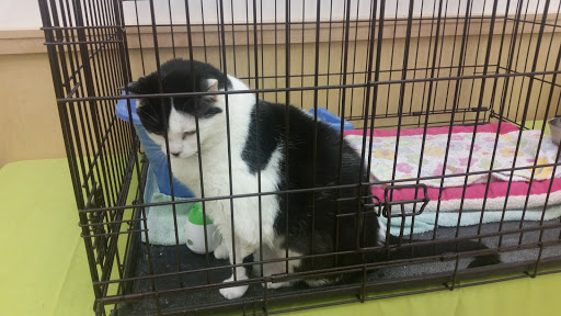 Pet Supply Store «Pet Supplies Plus», reviews and photos, 311 Sagamore Pkwy N, Lafayette, IN 47904, USA