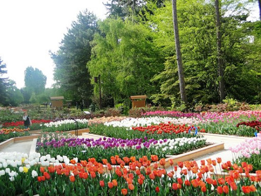 Parc Floral de Paris Paris