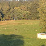 Photo n°7 de l'avis de U. fait le 13/10/2019 à 14:57 sur le  Hotel Gut Schmelmerhof à Sankt Englmar