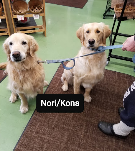 Pet Supply Store «Animal Krackers Inc», reviews and photos, 232 Main St, Gloucester, MA 01930, USA