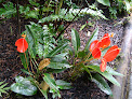 Roath Park Conservatory