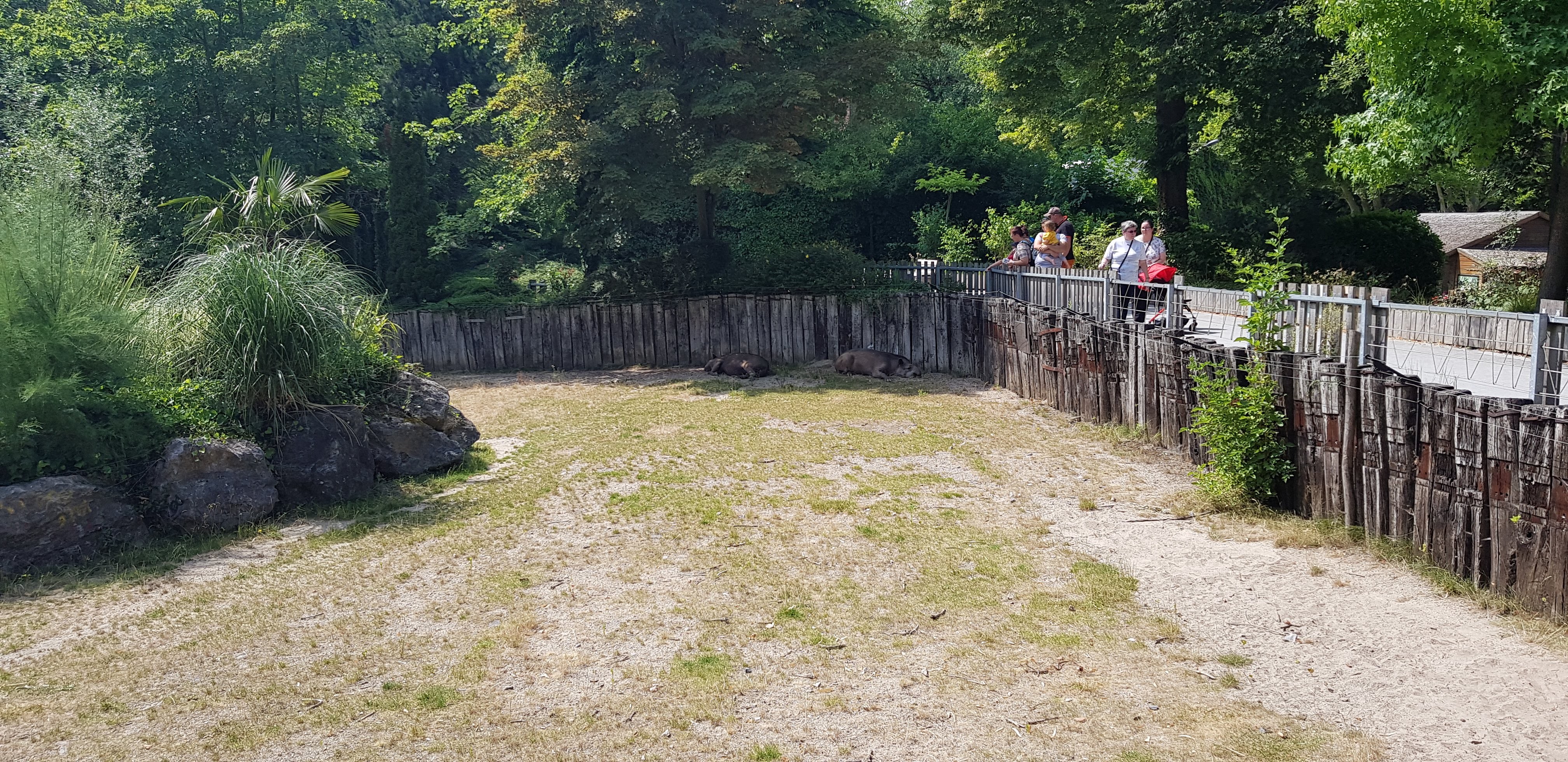 Photo n° 36 de l'avis de Nuk3d.t fait le 13/10/2019 à 18:58