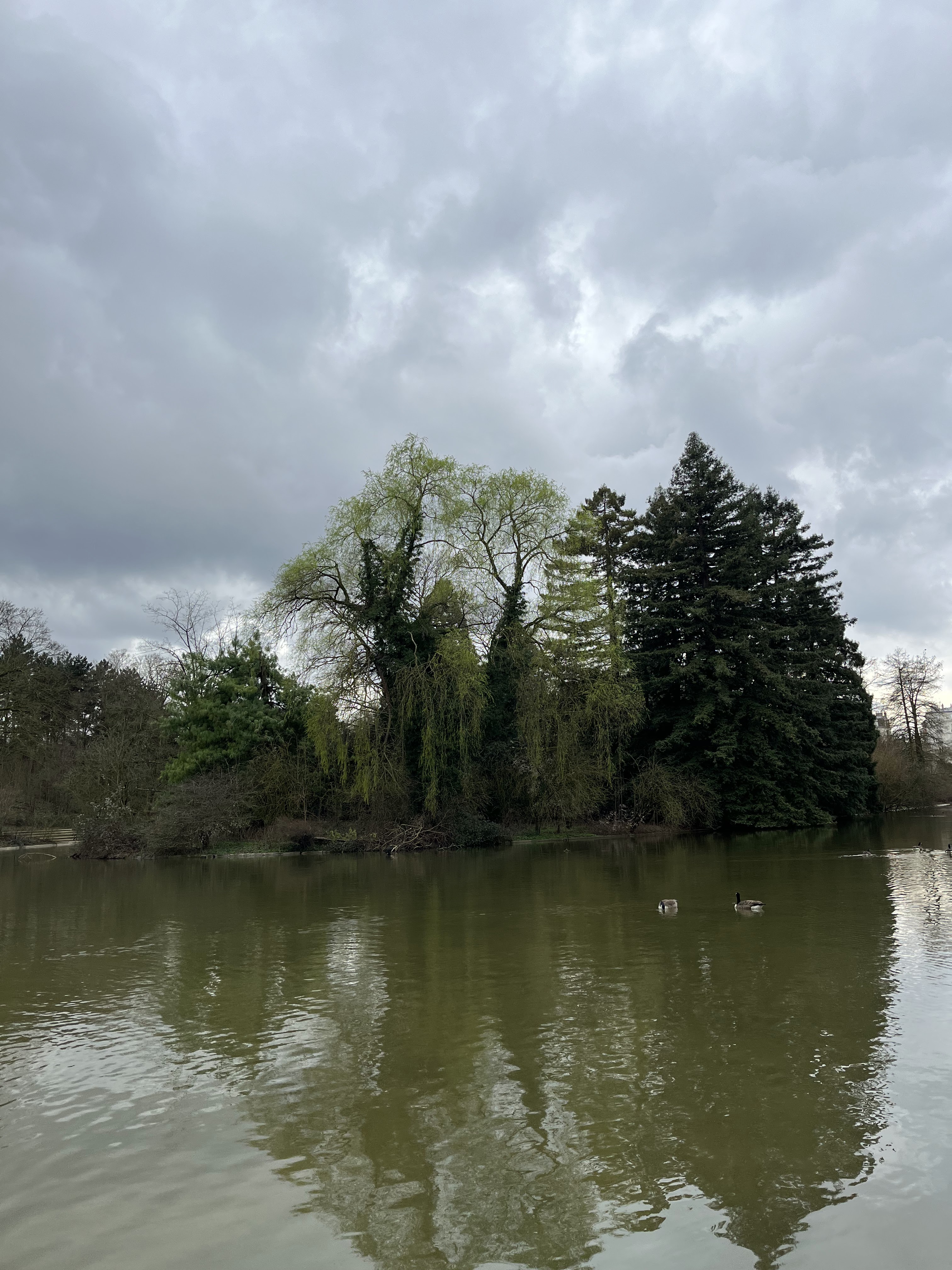 Photo n° 1 de l'avis de Claire.o fait le 06/03/2024 à 11:38