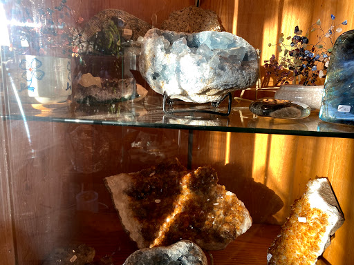 Book Store «White Light Books», reviews and photos, 1464 Park Ave, Cranston, RI 02920, USA