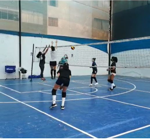 Academia de voley - Puro Sports