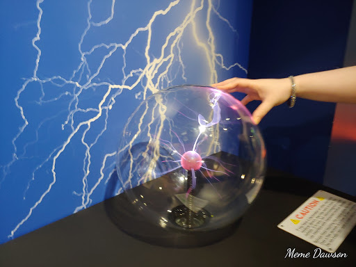 Nature Preserve «Fernbank Forest», reviews and photos, 767 Clifton Rd, Atlanta, GA 30307, USA