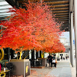 Photo n°2 de l'avis de Sharon. fait le 04/12/2022 à 20:46 sur le  Caffè Bistrò Mastai à Chiavenna
