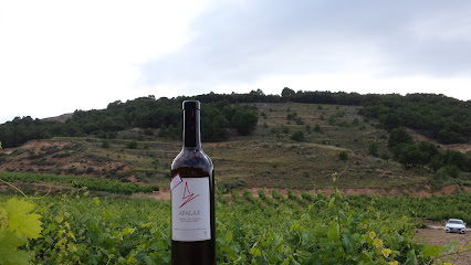 Información y opiniones sobre Bodega Apalaz Vigneron "Boutique Winery" de Valdearcos De La Vega