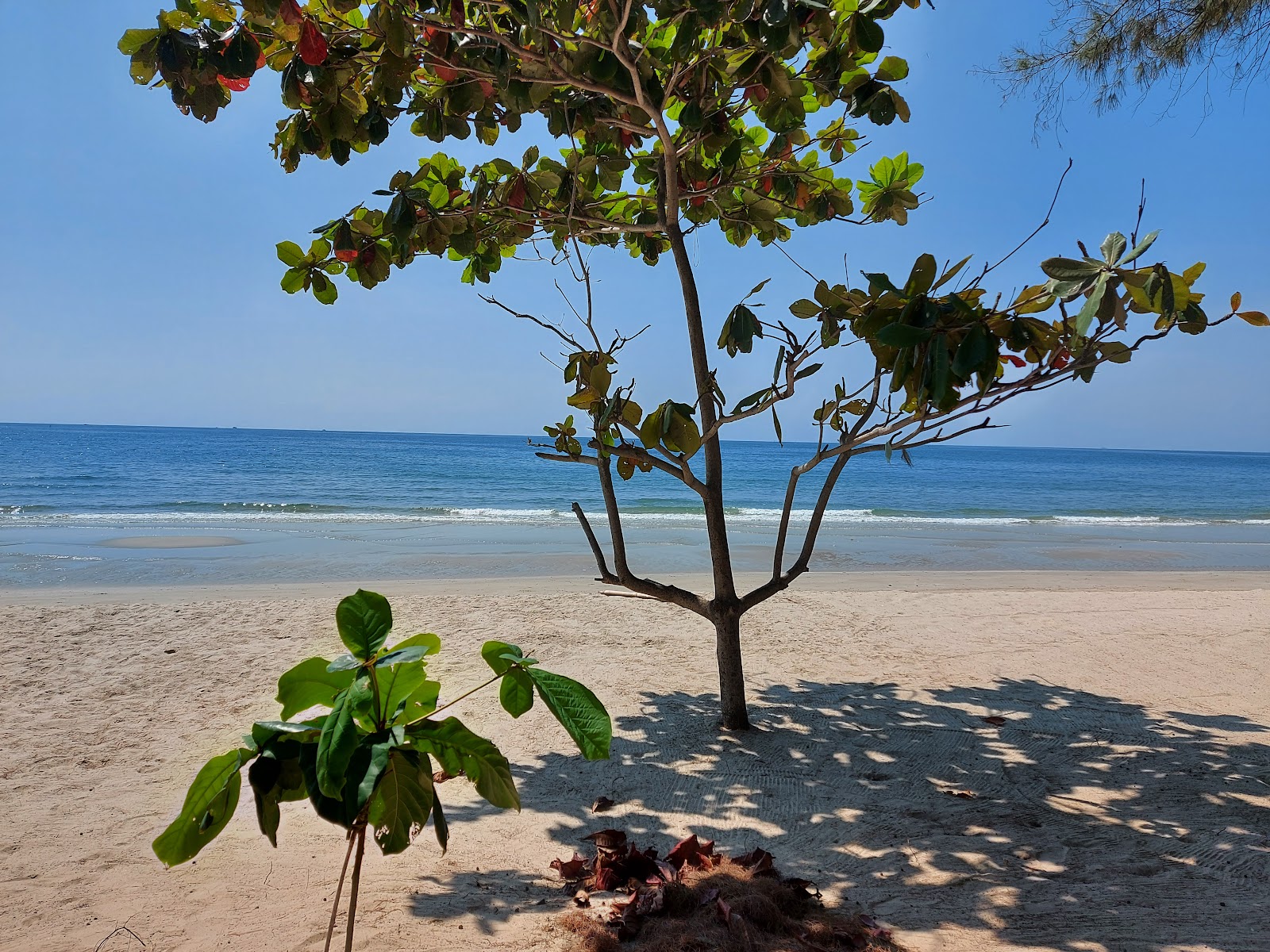 Foto van Mae Ram Phueng Beach - goede huisdiervriendelijke plek voor vakantie