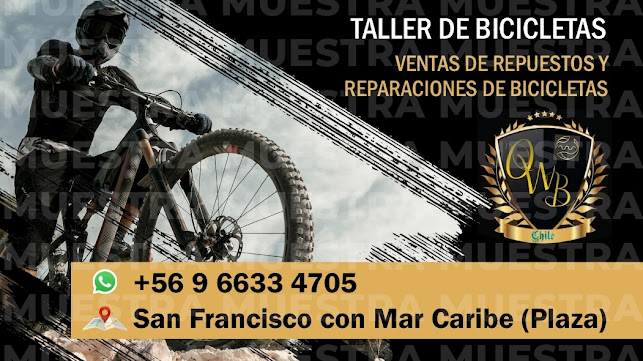 Taller de bicicletas (Oscar World Bike)