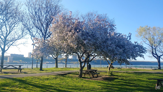 Riverbank State Park by Google