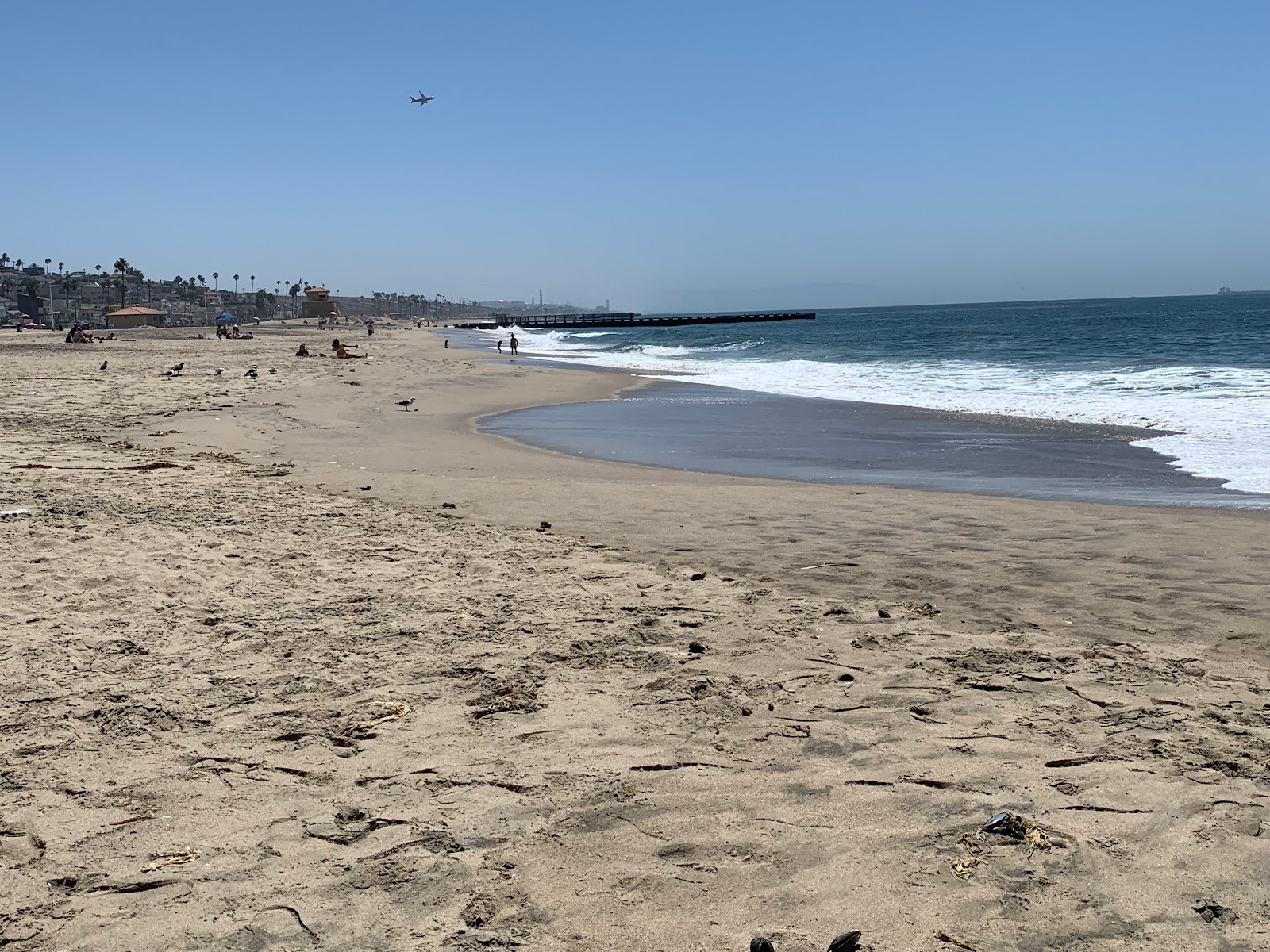 Photo of Playa Del Rey Beach with very clean level of cleanliness